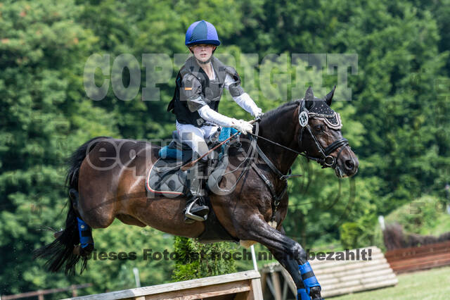 Goldene Schärpe 2021 - Ponys