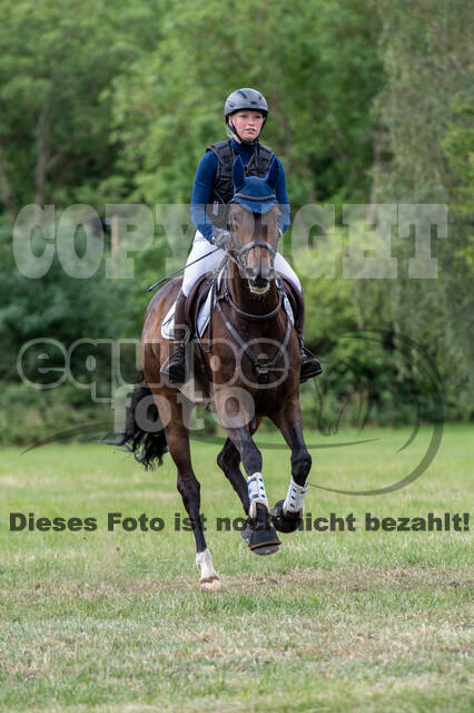 Bonn-Rodderberg Late-Entry-Vielseitigkeit (30.06.2020)