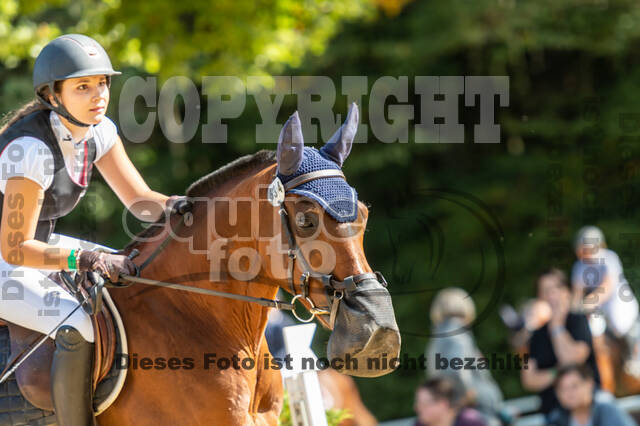 RFV Dinslaken-Hiesfeld (Herbstturnier)
