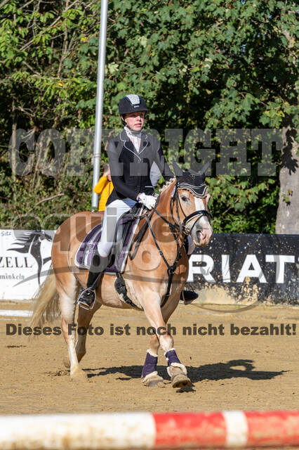RFV Dinslaken-Hiesfeld (Herbstturnier)