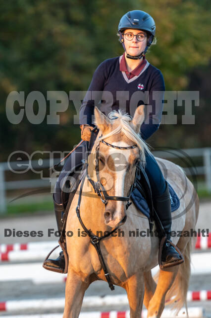 IGV Lehrgang der Sieger der Cups mit Frank Ostholt