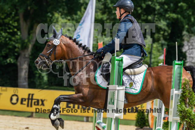 Goldene Schärpe 2021 - Ponys