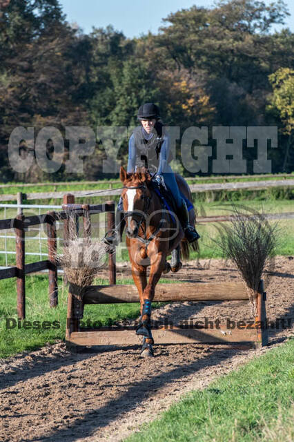 Vielseitigkeitslehrgang mit Jürg Kurbel (9.+10.11.2019)