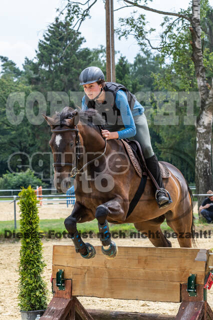 Hunter Geländetraining 10.07.2021 (Sonsbeck)
