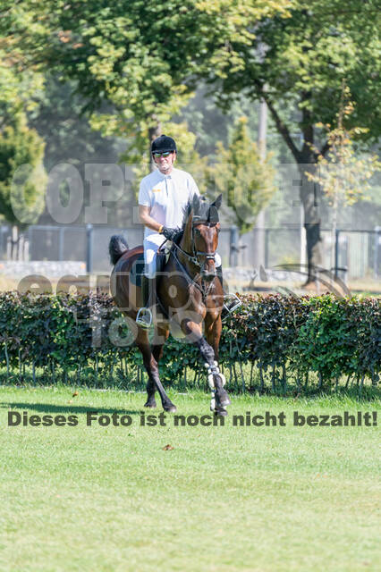 Kronenberg - De Peelbergen (August 2020)