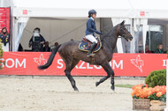 FEI European Championship