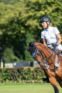 Kronenberg - De Peelbergen (August 2020)