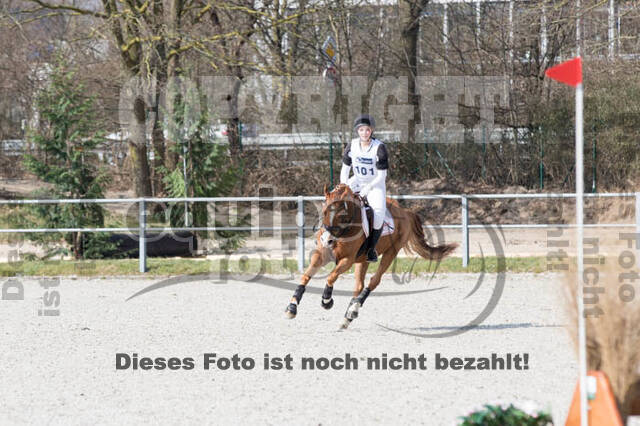 Eventing Langenfeld 2018