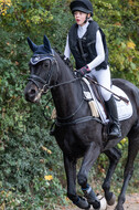 Reiter Schleswig-Holstein