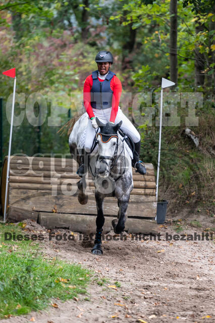 Goldene Schärpe 2020 - Pferde