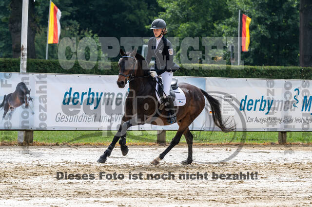 Goldene Schärpe 2021 - Ponys