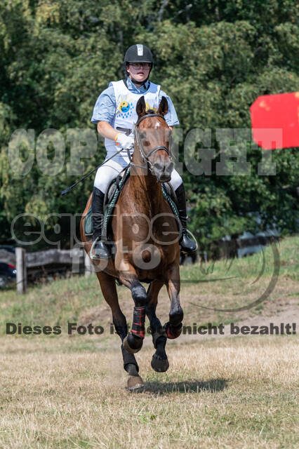 Late-Entry Vielseitigkeit Hamminkeln/Wesel (01.+02.08.2020)