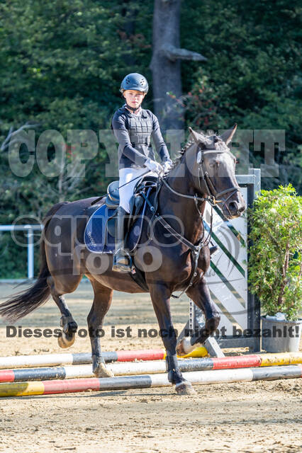 RFV Dinslaken-Hiesfeld (Herbstturnier)