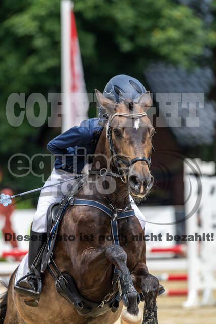 Goldene Schärpe 2021 - Ponys