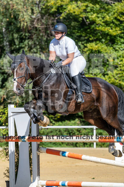 RFV Dinslaken-Hiesfeld (Herbstturnier)