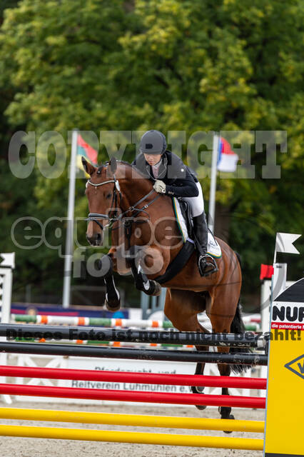 Deutsche Meisterschaft Vielseitigkeit (Luhmühlen)