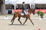 FEI European Championship Eventing 2017