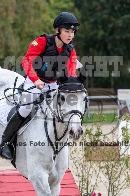 Goldene Schärpe 2020 - Pferde