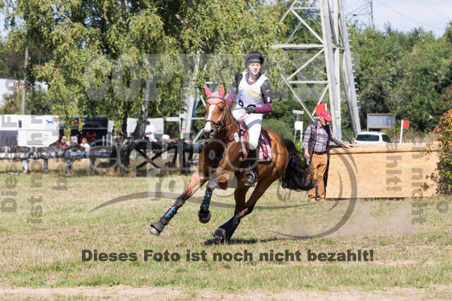 Vielseitigkeitsturnier RSV St. Hubertus Wesel Obrighoven