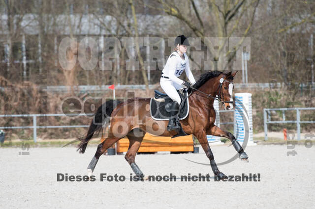 Eventing Langenfeld 2018