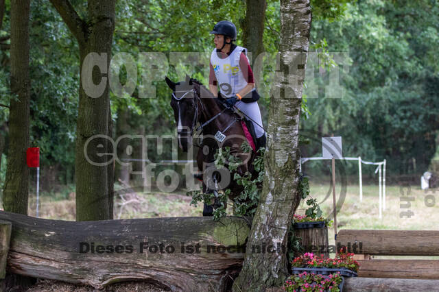 Late-Entry Vielseitigkeit Hamminkeln/Wesel (01.+02.08.2020)