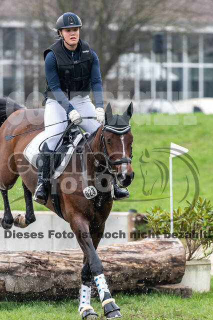 Goldene Schärpe 2020 - Pferde