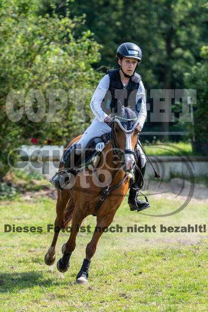 Goldene Schärpe 2021 - Ponys