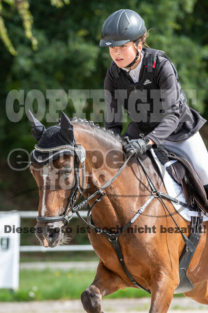 Late-Entry-Vielseitigkeit Langenfeld (06.+07.07.2020)