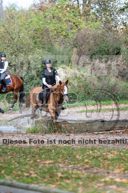 IGV Lehrgang der Sieger der Cups mit Frank Ostholt