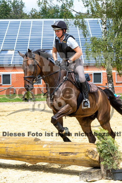 Hunter Geländetraining 10.07.2021 (Sonsbeck)
