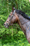 Westerstede Horse Trials 2021