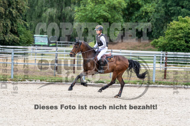 Late-Entry-Vielseitigkeit Langenfeld (11.+13./14.06.2020)