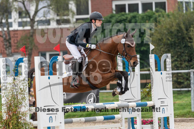 Goldene Schärpe 2020 - Pferde