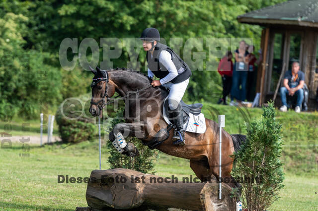 Goldene Schärpe 2021 - Ponys