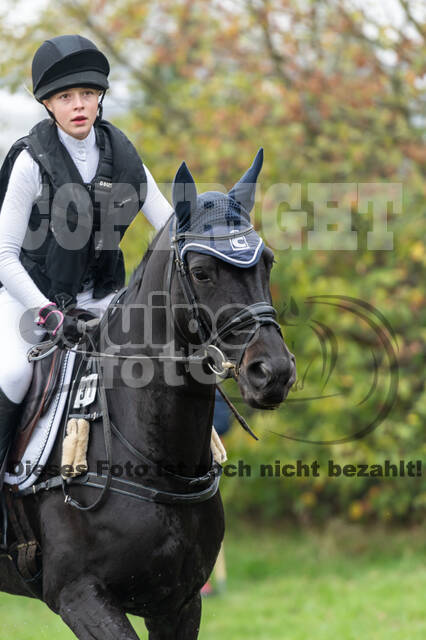 Goldene Schärpe 2020 - Pferde