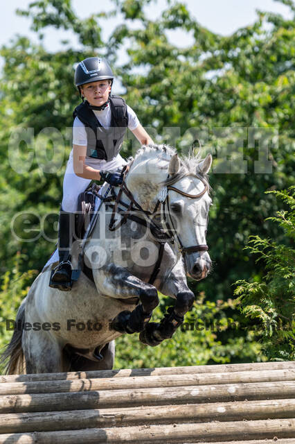 Goldene Schärpe 2021 - Ponys