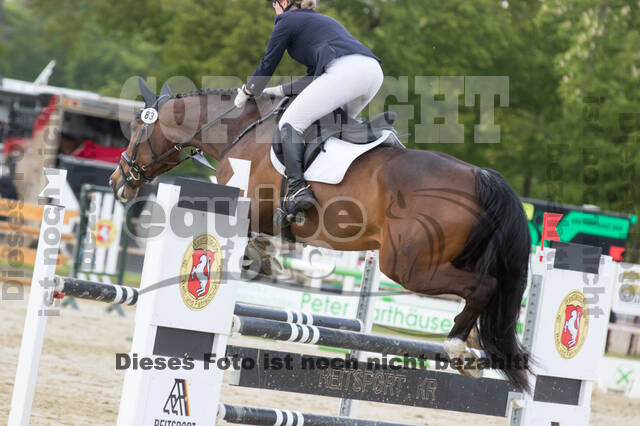 Sterne über Münster 2019 - CCI***S