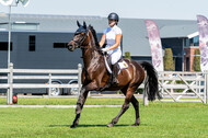 Kronenberg - De Peelbergen (August 2020)
