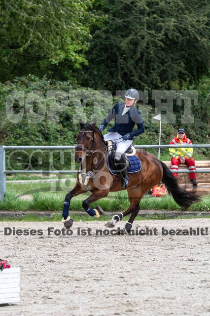 Late-Entry-Vielseitigkeit Langenfeld (06.+07.07.2020)