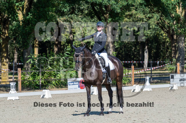 Kronenberg - De Peelbergen (August 2020)