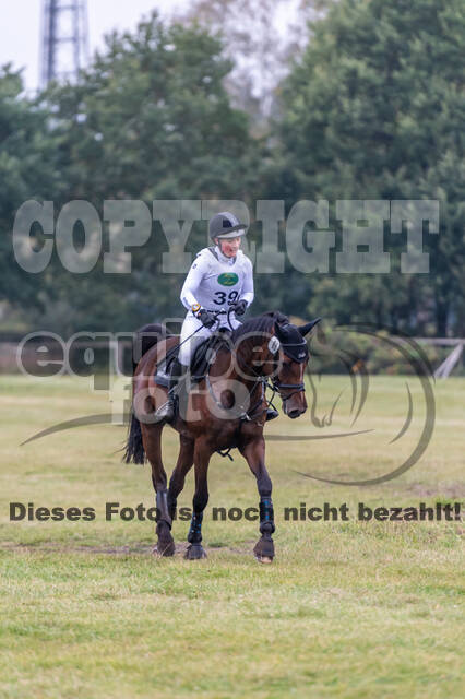 Deutsche Meisterschaft Vielseitigkeit (Luhmühlen)