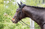 Eventing WRFS Münster