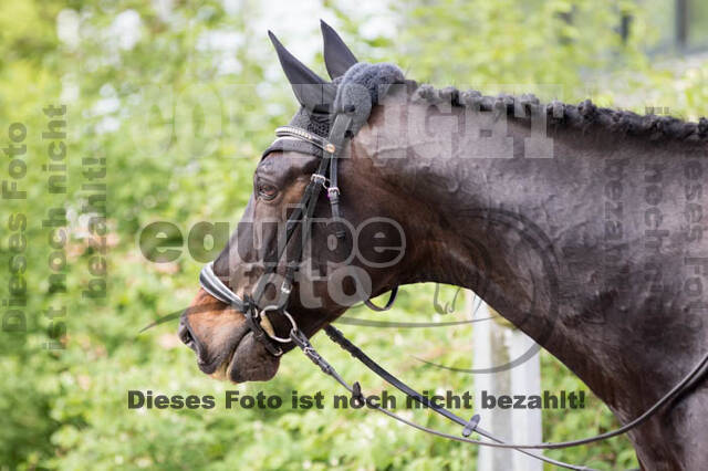 Eventing WRFS Münster