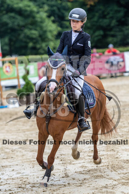 Goldene Schärpe 2021 - Ponys