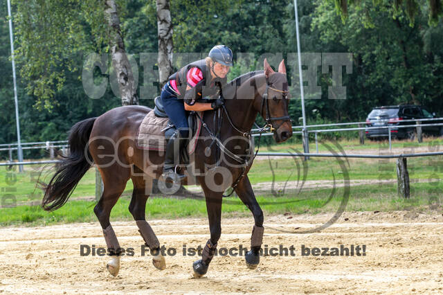 Hunter Geländetraining 10.07.2021 (Sonsbeck)