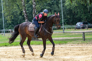 Hunter Geländetraining 10.07.2021 (Sonsbeck)