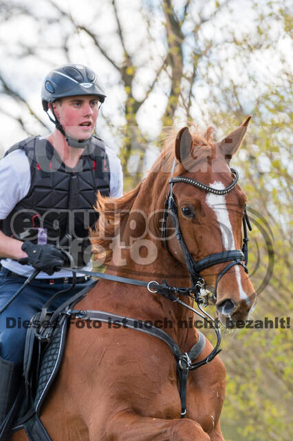 Brandon Schäfer Gehrau