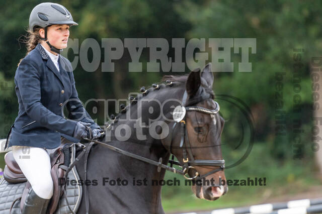 Vielseitigkeit RSV Wesel Obrighoven (26.+27.09.2020)