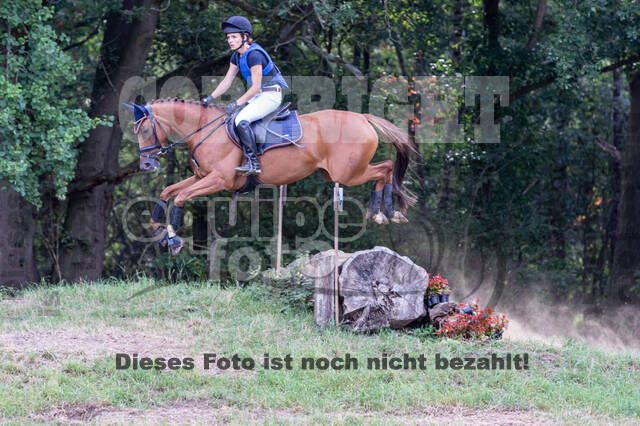 Late-Entry Vielseitigkeit Hamminkeln/Wesel (01.+02.08.2020)
