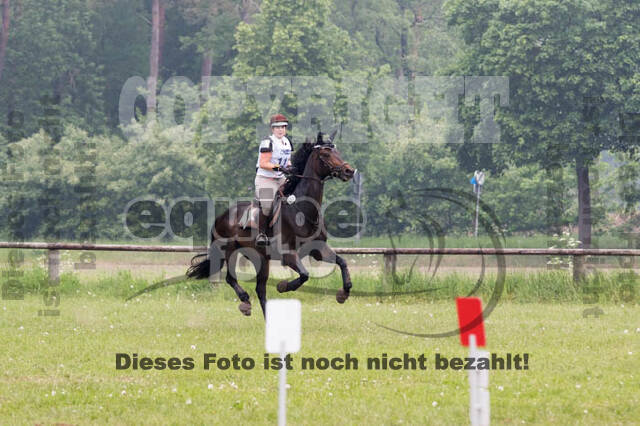 Vielseitigkeitsturnier ZRFV von Lützow Hamminkeln